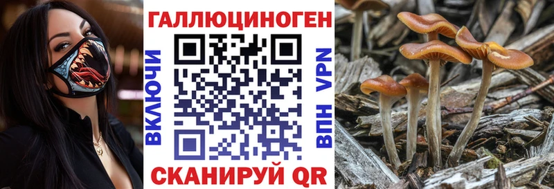 дарнет шоп KRAKEN зеркало Галлюциногенные грибы мухоморы Краснослободск